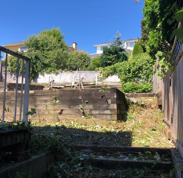 a fenced yard with retaining walls that are free from blackberries