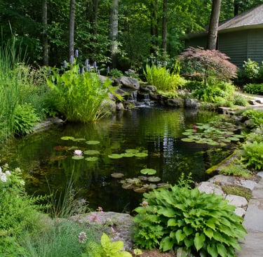 Natural garden pond with water lilies and aquatic plants