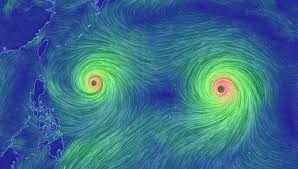 typhoon wind fields western pacific