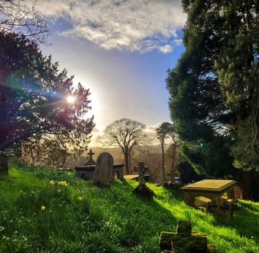 Historic stone gravestones and blooming yellow daffodils on a grassy hillside in a sunlit country churchyard.