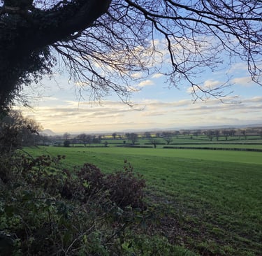 A scenic view of a lush green landscape and rolling hills under a blue sky with soft white clouds.