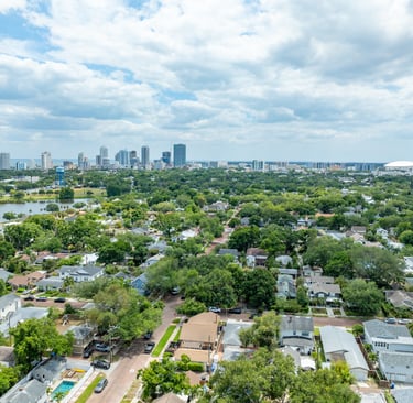 Aerial view of St. Petersburg Florida skyline and residential neighborhoods with lush green trees under a cloudy sky.