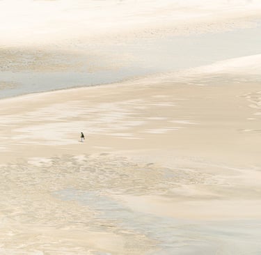 Barley cove Beach