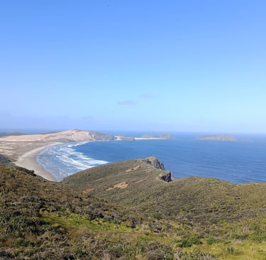 Giant Sand dunes de nueva zelanda desde Cape Reinga