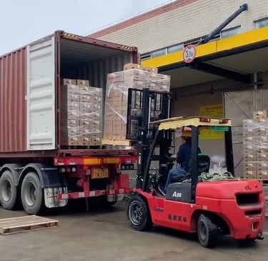 logistique Saint Martin 