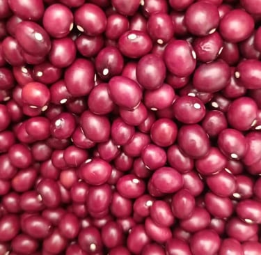 Frijol variedad Bolo Rojo grano redondo y fresco cultivado en Cajamarca Tolima