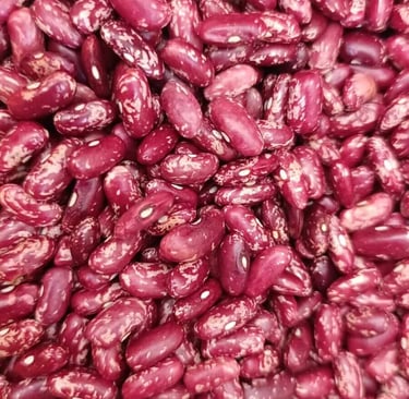Frijol variedad Calima rojo moteado grano alargado de la despensa agrícola de Colombia