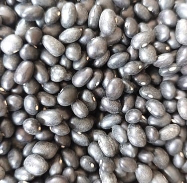 Frijol Negro variedad Caraota granos brillantes y seleccionados en Cajamarca