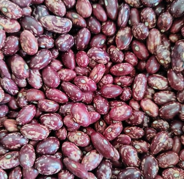 Frijol variedad Cargabello jaspeado de cáscara suave venta al por mayor y detal