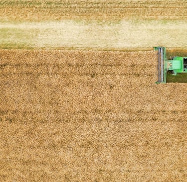 immigration and agriculture