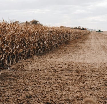 Nebraska farmers