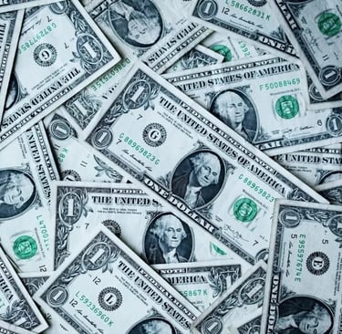 undocumented immigrants