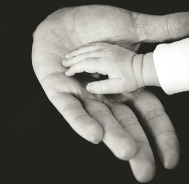 Individuals never trust