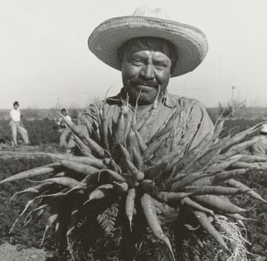 billionaire immigrant taxes