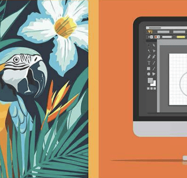 Formation Illustrator