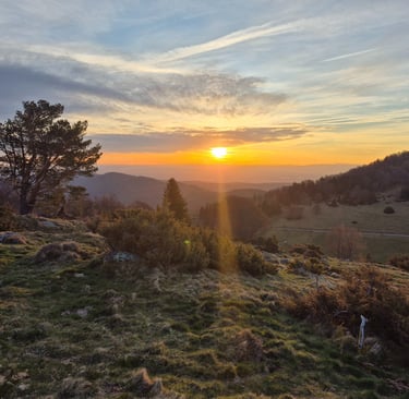 Le ballon d'Alsace - Voyage - camping-car