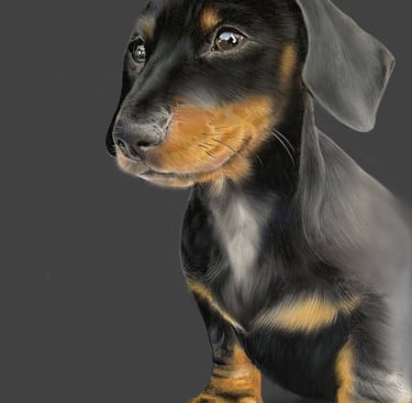 dachshund puppy dog art pet portrait pencil art