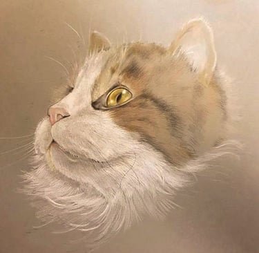 long haired cat, pet portrait, cat portrait pencil art
