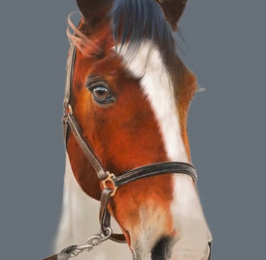 horse, show, tack, show tack, equestrian art horse portrait, 