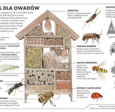Schemat budowy domku dla dzikich zapylaczy