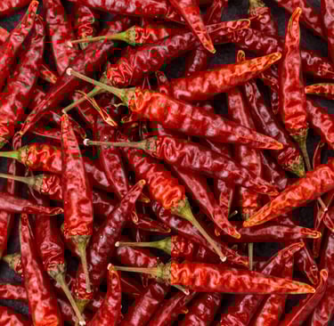 Fresh green peppercorn clusters hanging on the vine in a sunlit spice farm.