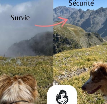 Mode survie