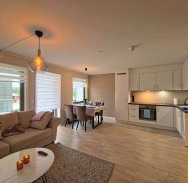 Modern open-concept living room and kitchen with white cabinets and a dining table.