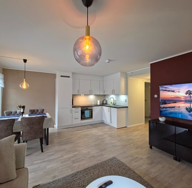 Modern open-plan living area with modern ceiling lamp flat screen TV on the bourgundi colored wall