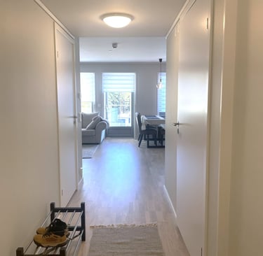 Bright modern hallway with white walls, wood flooring, and a metal shoe rack leading to a living area.