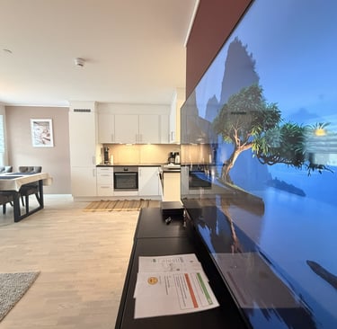 White kitcken, modern dishwasher, 65 inch flat screen TV painting on the wall