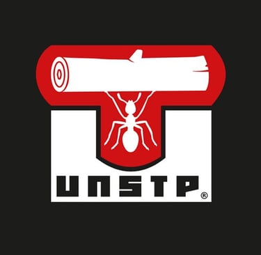 UNSTP