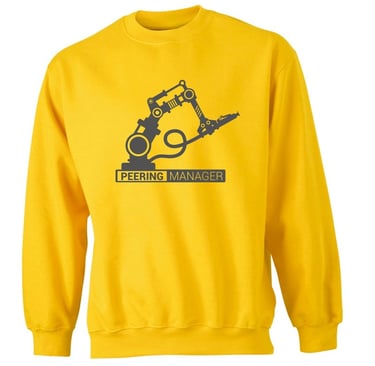 Logo Peering Manager