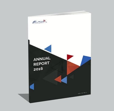 Report Annuel France IX