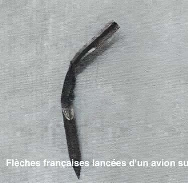 Fléchettes françaises