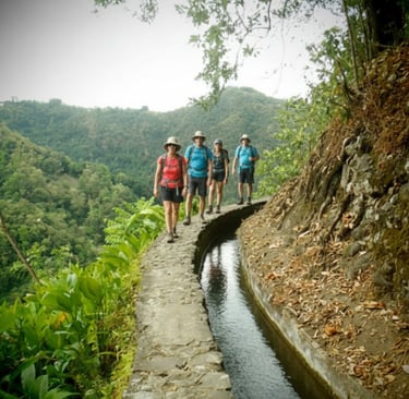 Randonnée au Canal des Esclaves en Martinique – sentier historique en pleine nature