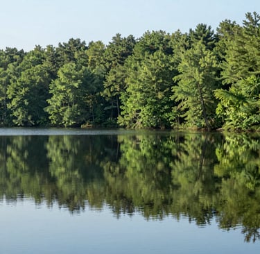A peaceful lake reflecting a soft green forest under a clear sky, evoking tranquility.