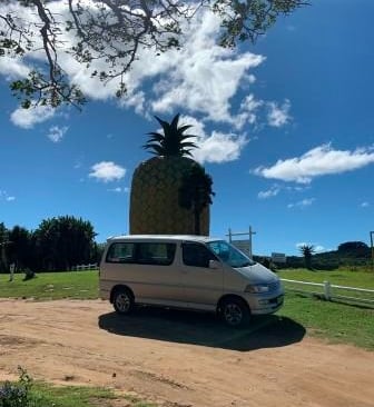 a van parked on a dirt road with a pineapple