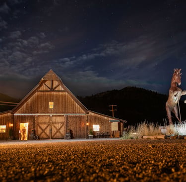 The Steel Horse lit up at night