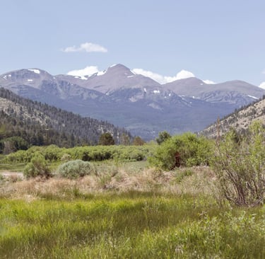 grassy fields with mountain in view