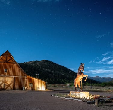 Stanley under the stars