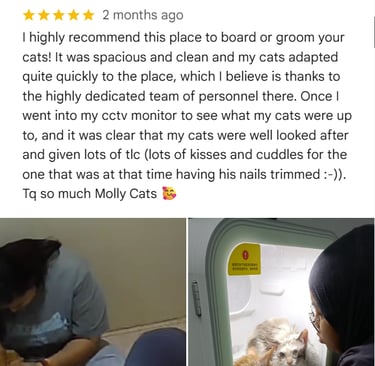 Customer feedback praising the clean boarding space and CCTV at Moly Cat Hotel OUG.
