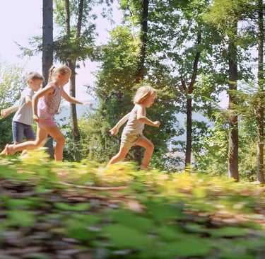 Gibanje v gozdnem vrtcu