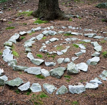 Zdgodovina in razvoj gozdne pedagogike