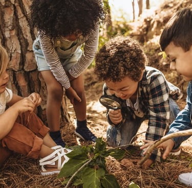 Učenje z raziskovanjem v gozdnem vrtcu