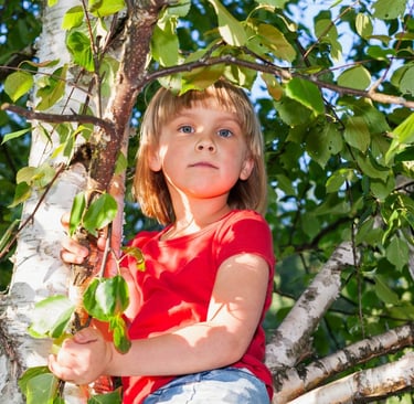 Gozdni vrtec in tvegana igra