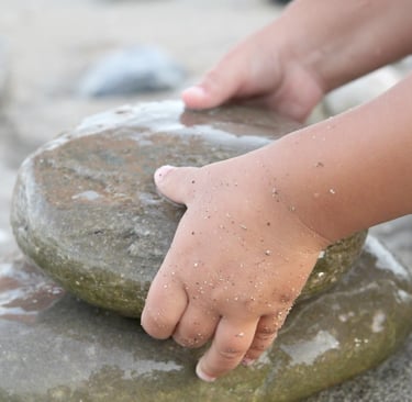 Matematika v gozdnem vrtcu