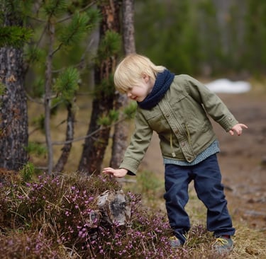 Pedagoški pristpi v gozdnem vrtcu
