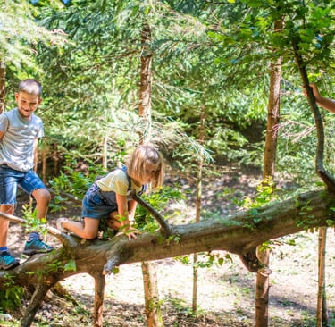 Gozdni vrtec - plezanje po trevesu