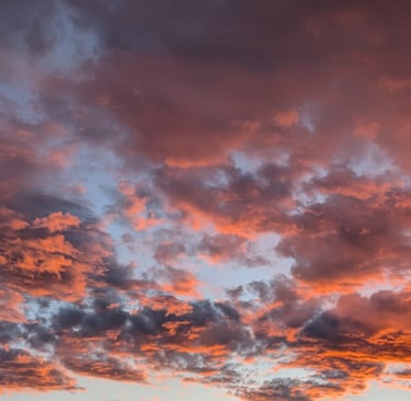 Sunset @ Hammond Farm - Mar 25, 2025 - Casey Grace