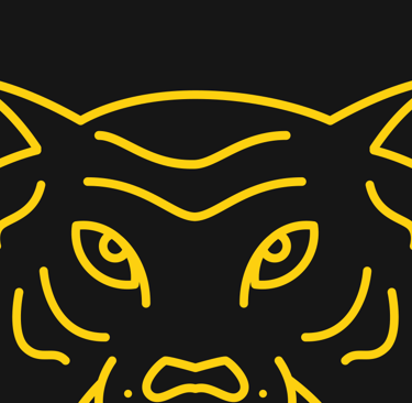 la cabeza d eun tigre amarillo sobre fondo negro